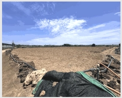  2025Ÿ��8140 ���� �������� ������ �ŵ��� 1295      ����(��1)���