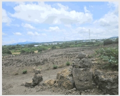  2025Ÿ��8286 ���� ���ֽ� �Ѹ��� ��븮 4371      ����(��1)���