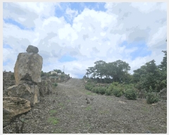  2025Ÿ��8286 ���� ���ֽ� �Ѹ��� ��븮 4371      ����(��1)���