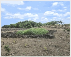  2025Ÿ��8286 ���� ���ֽ� �Ѹ��� ��븮 4371      ����(��1)���