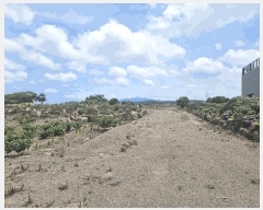  2025Ÿ��8286 ���� ���ֽ� �Ѹ��� ��븮 4371      ����(��1)���