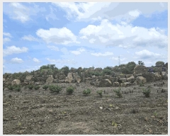  2025Ÿ��8286 ���� ���ֽ� �Ѹ��� ��븮 4371      ����(��1)���