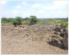  2025Ÿ��8286 ���� ���ֽ� �Ѹ��� ��븮 4371      ����(��1)���