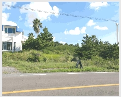  2025Ÿ��8680 ���� ���ֽ� �Ѱ�� ��â�� 1352-6      ����(��1)���
