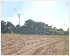  2025Ÿ��8680 ���� ���ֽ� �Ѱ�� ��â�� 1352-6      ����(��1)���