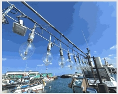  2025Ÿ��8855 ���ֽ� ��õ��         ���ڰ��