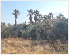  2025Ÿ442    ︮ 120      (1)