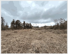  2025Ÿ893  ֽ ֿ ϰ 100      ()