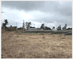  2025Ÿ893  ֽ ֿ ϰ 100      ()