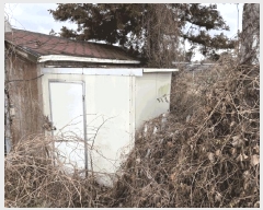  2025Ÿ893  ֽ ֿ ϰ 100      ()