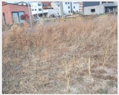  2025Ÿ911  ֽ õ Դ 4160      ()