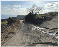  2025Ÿ��921 ���� �������� �ȴ��� âõ�� 1101-3      ����(��1)���