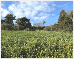  2025Ÿ��921 ���� �������� �ȴ��� âõ�� 1101-3      ����(��1)���