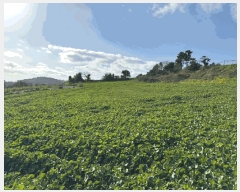  2025Ÿ��921 ���� �������� �ȴ��� âõ�� 1101-3      ����(��1)���