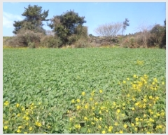  2025Ÿ��921 ���� �������� �ȴ��� âõ�� 1101-3      ����(��1)���