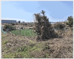  2025Ÿ949     448      ()