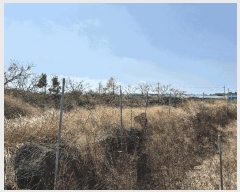  2025Ÿ949     448      ()