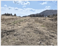  2025Ÿ949    ϸ 1570-15  4401ȣ    ǽڰ