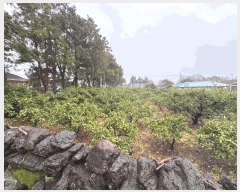  2025Ÿ1075    ŷʸ 1057-1      ()