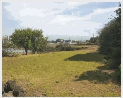  2025Ÿ��1092  �����