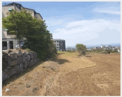  2025Ÿ��1092  �����