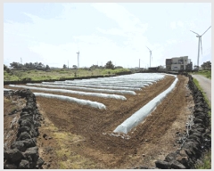  2025Ÿ��1173  �����