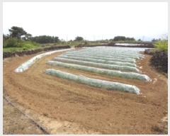  2025Ÿ��1173  �����