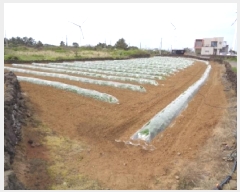  2025Ÿ��1173  �����