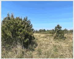  2025Ÿ1182  ֽ Ѱ â 544      (1)