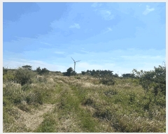  2025Ÿ1182  ֽ Ѱ â 544      (1)