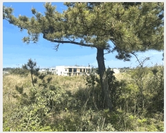  2025Ÿ1182  ֽ Ѱ â 544      (1)