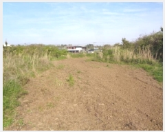  2025Ÿ1182  ֽ Ѱ â 544      (1)