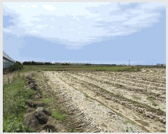  2025Ÿ��1197  �����