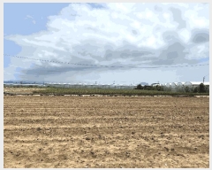  2025Ÿ��1197  �����