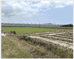  2025Ÿ��1197  �����