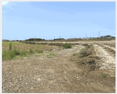  2025Ÿ��1197  �����