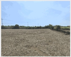  2025Ÿ1206  ֽ 쵵  651-1      (1)