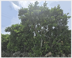  2025Ÿ1206  ֽ 쵵  651-1      (1)