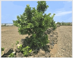  2025Ÿ1206  ֽ 쵵  651-1      (1)