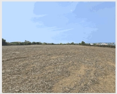  2025Ÿ1206  ֽ 쵵  651-1      (1)