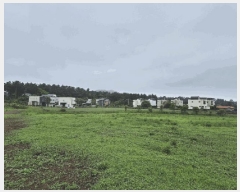  2025Ÿ��1216 ���� ���ֽ� �Ѹ��� ���縮 370      ����(��1)���