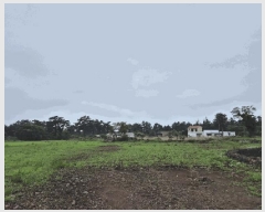  2025Ÿ��1216 ���� ���ֽ� �Ѹ��� ���縮 370      ����(��1)���