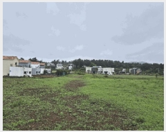  2025Ÿ��1216 ���� ���ֽ� �Ѹ��� ���縮 370      ����(��1)���