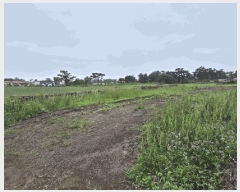  2025Ÿ��1216 ���� ���ֽ� �Ѹ��� ���縮 370      ����(��1)���