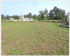  2025Ÿ��1216 ���� ���ֽ� �Ѹ��� ���縮 370      ����(��1)���