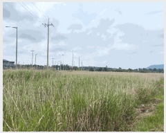  2025Ÿ��1224  �Ӿ߰��