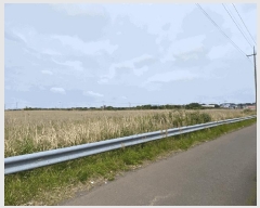  2025Ÿ��1224  �Ӿ߰��