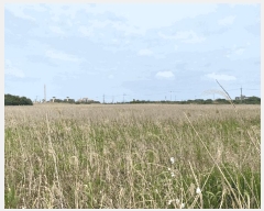  2025Ÿ��1224  �Ӿ߰��