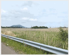  2025Ÿ��1224  �Ӿ߰��