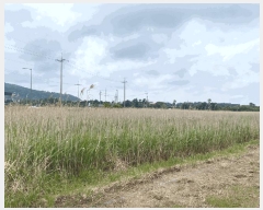  2025Ÿ��1224  �Ӿ߰��